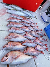 たいらば❤️❤️