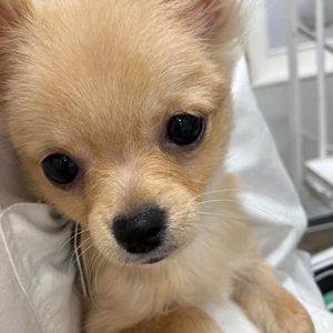 見事なリバウンド😭