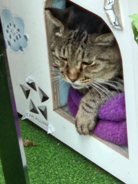 [お題]／シフト