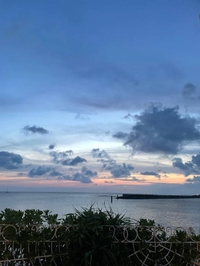 休暇いたします🙇‍♂️