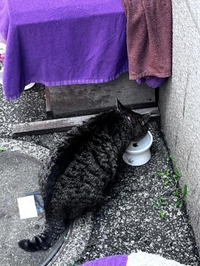 365日〜