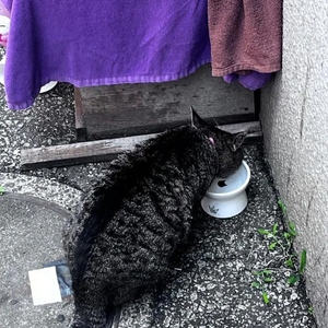 365日〜