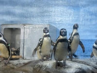 あっという間😘✨