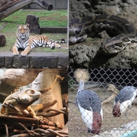 お出かけPart2🦁