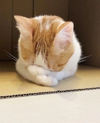 ごめんなさい🥺