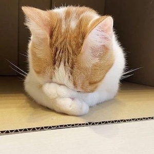 ごめんなさい🥺