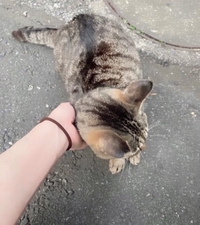 みたよ／シフト