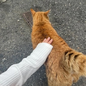キャンセル枠