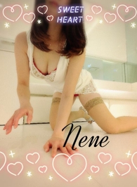 おはようございます😽