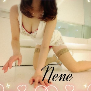 おはようございます😽