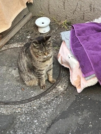 愚痴と説教を聞かされるなら？