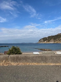 リフレッシュ🌿