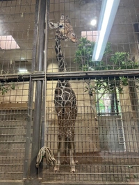 7/5、20来てくださった方へのお礼がまだでした