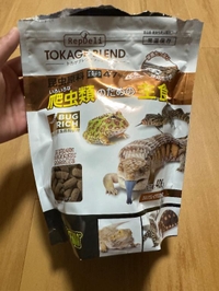 🐸って何食べるの？