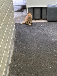 おはよう☺️