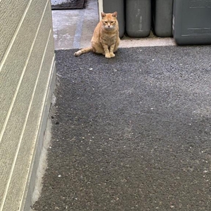 おはよう☺️