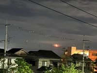 助けてー😭‼️