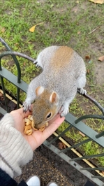 嬉しさが溢れる🥹