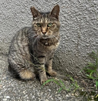 みたよ／シフト