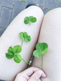 グルグルまわる〜！