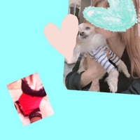 本日もありがとうﾃﾞｼﾀ٩(^‿^)۶❤︎