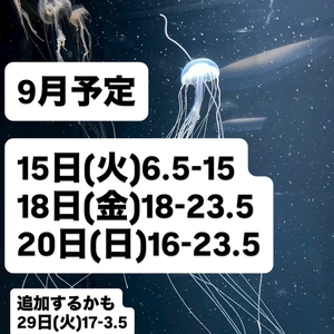 9月予定
