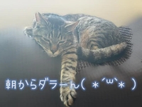 おはようございます☀️