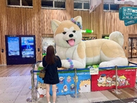 最近のテーマ?