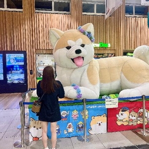 最近のテーマ?