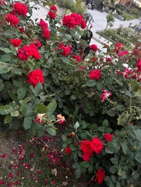 ごめんなさい💦