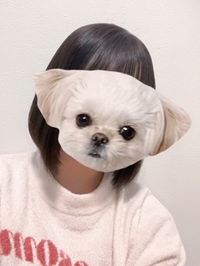 ちなみに自撮りのやり方は忘れました