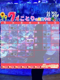 7月の予定🌻