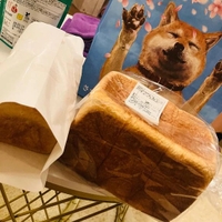 仲良しさまありがとう✨