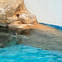 癒、、、🥺💗