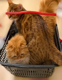 ありがとう💗💗💗