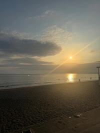 申し訳ございません。