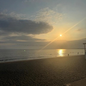 申し訳ございません。