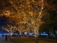 12月スタート⭐︎