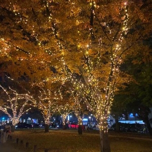 12月スタート⭐︎