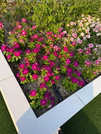 ロコミお礼♡🐥