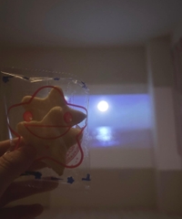 のほほんタイム