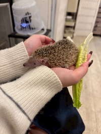 癒されてきた日🤍