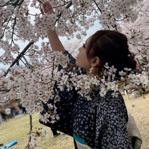 桜🌸満開なのにずっと雨マーク