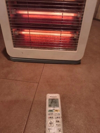 ぶるぶる((((；ﾟДﾟ))))