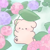 6月の予定🌧️