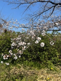 ‎🤍4月シフト‎🤍