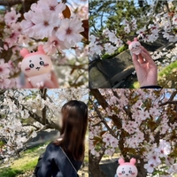 お花見してきたよ💗
