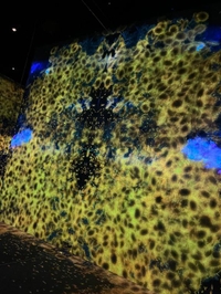 ことねの小言❣️