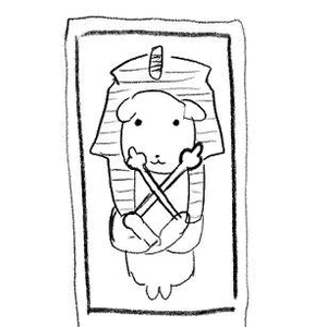 X新しくなた🆕