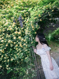 雨音すごいですね☔️